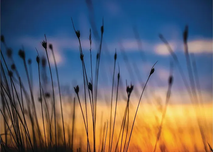 In - Zadar Riviera 7841 * Privlaka (Zadar)